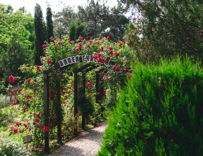 Санаторий «Полтава-Крым» Саки